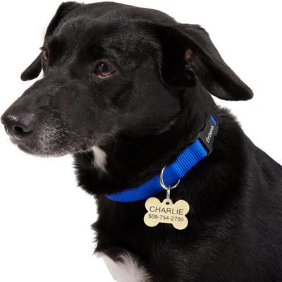 Show full view: Frisco Brass Personalized Dog & Cat ID Tag, Bone, Regular slide 5 of 6