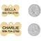 Show in main carousel: Frisco Brass Personalized Dog & Cat ID Tag, Bone, Small slide 4 of 6