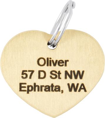 Show full view: Frisco Brass Personalized Dog & Cat ID Tag, Heart, Regular slide 4 of 7