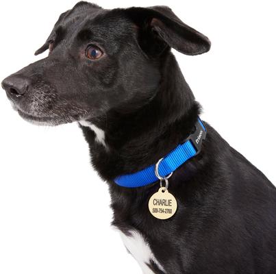 Show full view: Frisco Brass Personalized Dog & Cat ID Tag, Round, Regular slide 5 of 6
