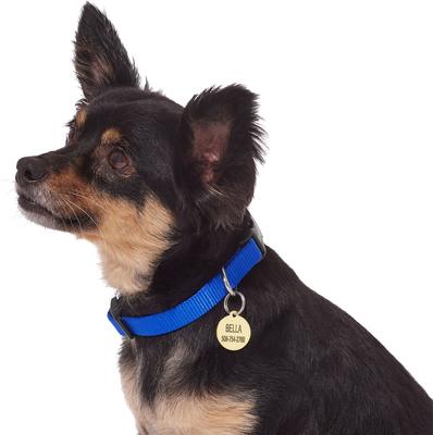 Show full view: Frisco Brass Personalized Dog & Cat ID Tag, Round, Small slide 6 of 7