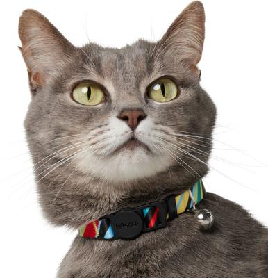 Show full view: Frisco Breakaway Cat Collar with Bell, Diagonal Night Stripe, 8 to 12-in neck, 3/8-in wide slide 5 of 9