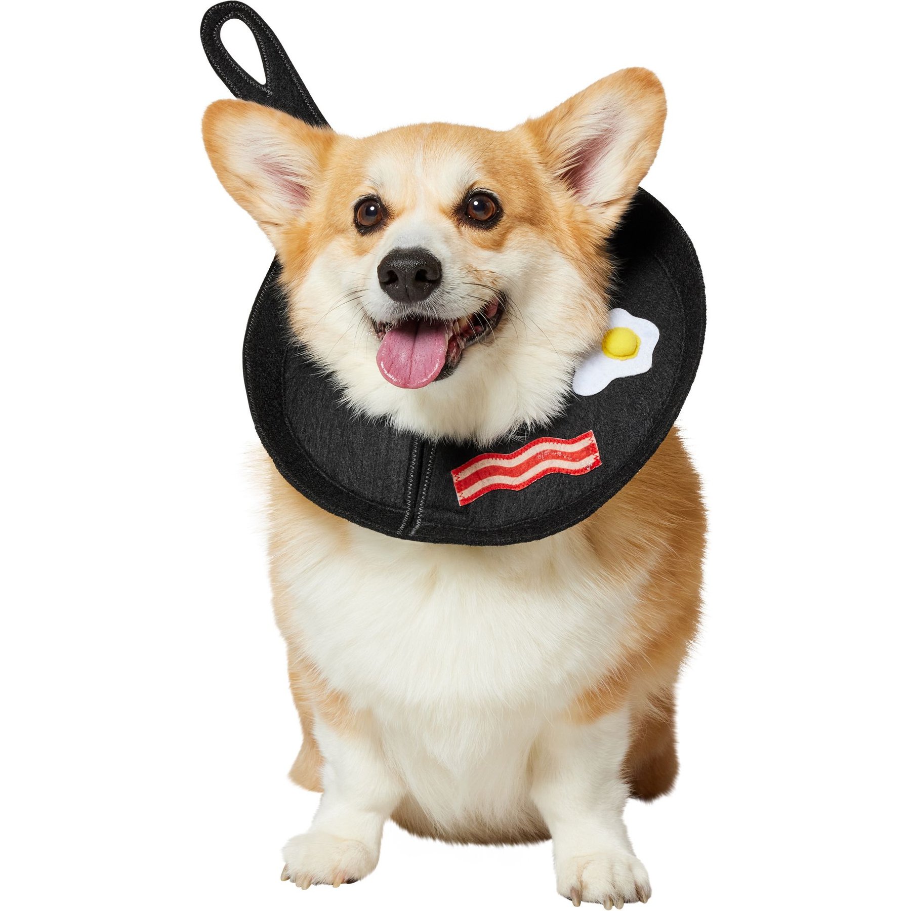Frisco Breakfast Skillet Dog & Cat Costume, Medium/Large