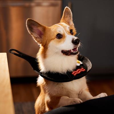 Show full view: Frisco Breakfast Skillet Dog & Cat Costume, Medium/Large slide 6 of 9