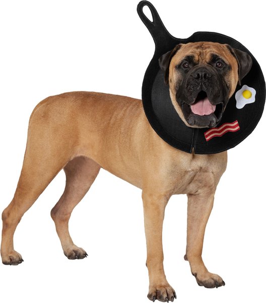 A large dog wearing a Breakfast Skillet Halloween costume.