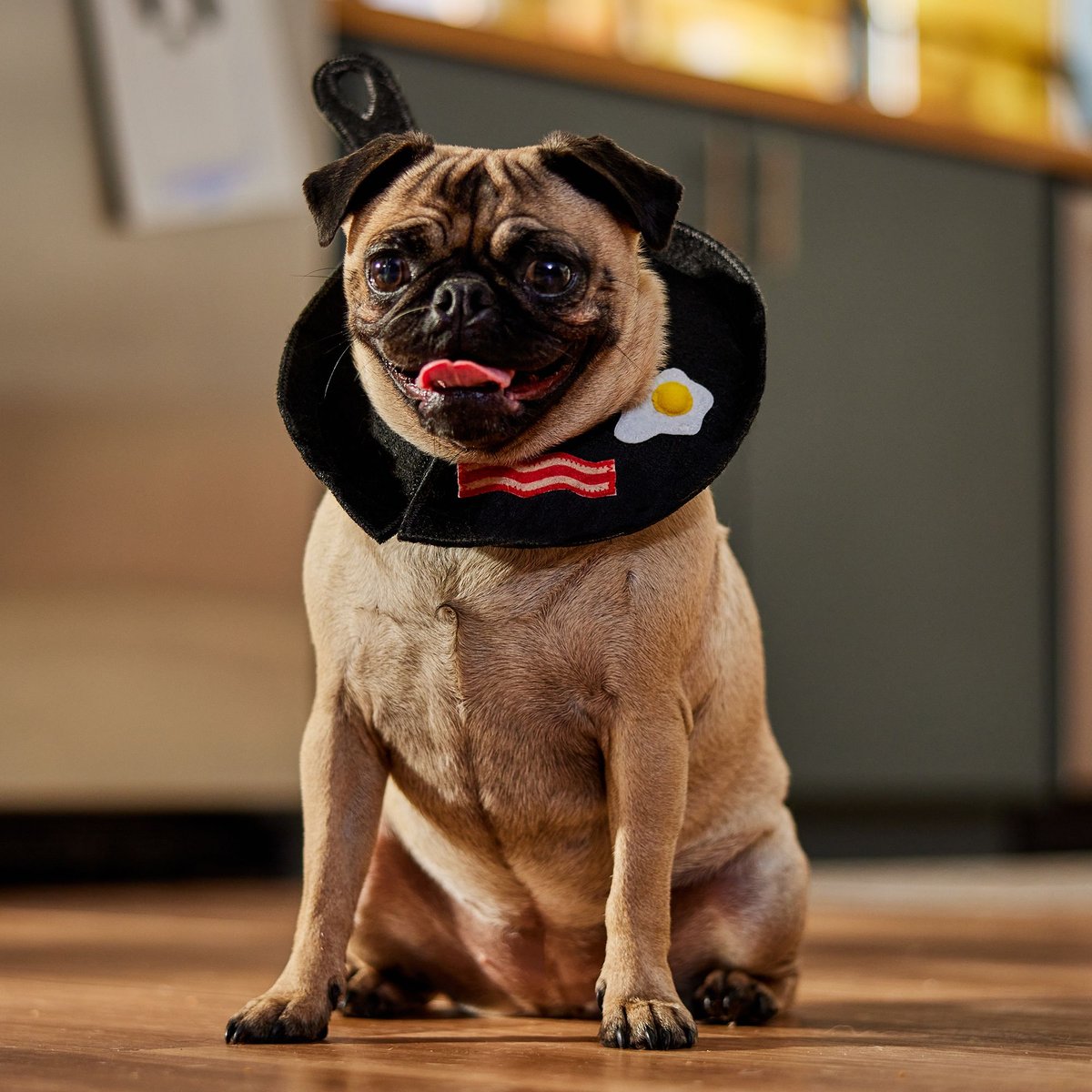 Frisco Breakfast Skillet Dog & Cat Costume