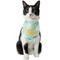 Show in main carousel: Frisco Brunch Please Dog & Cat Bandana, X-Small/Small slide 4 of 10