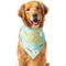 Show in main carousel: Frisco Brunch Please Dog & Cat Bandana, X-Small/Small slide 5 of 10