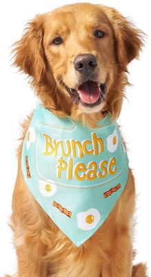 Show full view: Frisco Brunch Please Dog & Cat Bandana, X-Small/Small slide 5 of 10