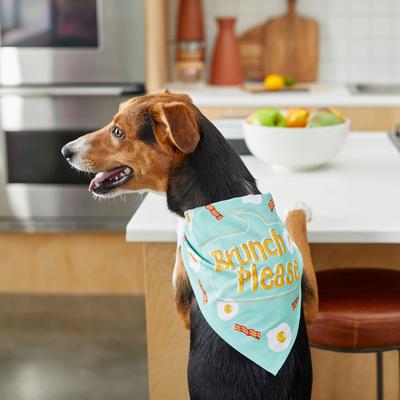 Show full view: Frisco Brunch Please Dog & Cat Bandana, X-Small/Small slide 7 of 10