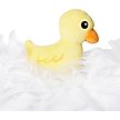 Show in main carousel: Frisco Bubble Bath with Rubber Duck Dog & Cat Costume, Medium slide 6 of 11