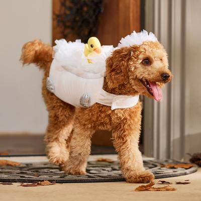 Show full view: Frisco Bubble Bath with Rubber Duck Dog & Cat Costume, Medium slide 8 of 11