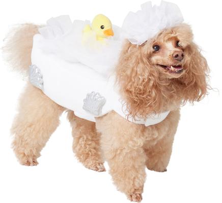 Show full view: Frisco Bubble Bath with Rubber Duck Dog & Cat Costume, Small slide 2 of 11