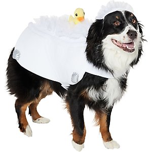 California Costumes UPS Delivery Driver Dog & Cat Costume