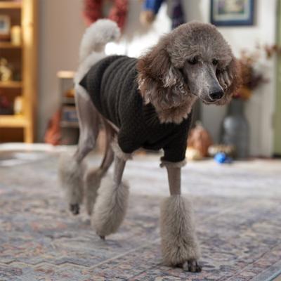 Show full view: Frisco Bubble Knit Mock Neck Dog & Cat Sweater, Charcoal, X-Large slide 6 of 8