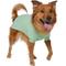 Show in main carousel: Frisco Bubble Knit Mock Neck Dog & Cat Sweater, Mint, X-Large slide 1 of 8