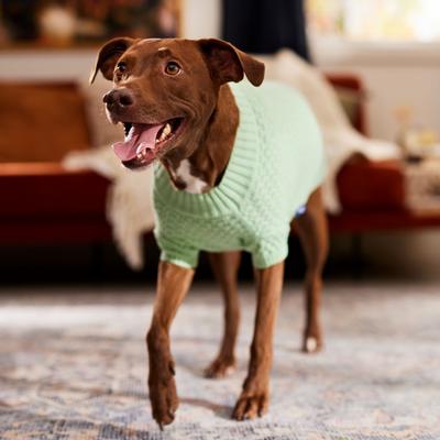 Show full view: Frisco Bubble Knit Mock Neck Dog & Cat Sweater, Mint, X-Large slide 6 of 8