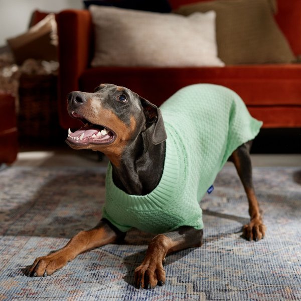 Show full view: Frisco Bubble Knit Mock Neck Dog & Cat Sweater, Mint, XX-Large slide 6 of 8