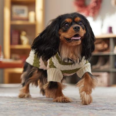 Show full view: Frisco Bubble Knit Multi Striped Mock Neck Dog & Cat Sweater, Brown, Medium slide 8 of 10