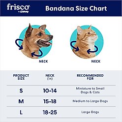Frisco Buffalo Check Embroidered Personalized Dog & Cat Bandana, Green, Large slide 2 of 7