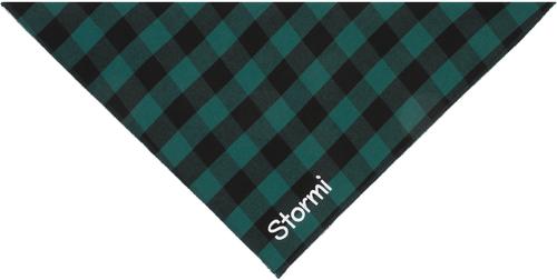 Show full view: Frisco Buffalo Check Embroidered Personalized Dog & Cat Bandana, Green, Large slide 5 of 9