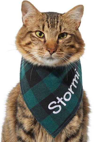 Frisco Buffalo Check Embroidered Personalized Dog & Cat Bandana