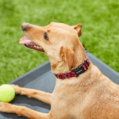 Show full view: Frisco Buffalo Check Polyester Personalized Dog Collar, MD - Neck: 14-20-in, Width: 3/4-in slide 5 of 6