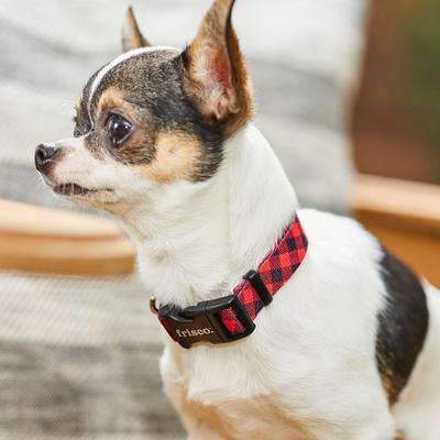 Show full view: Frisco Buffalo Check Polyester Personalized Dog Collar, XS - Neck: 8-12-in, Width: 5/8-in slide 6 of 7