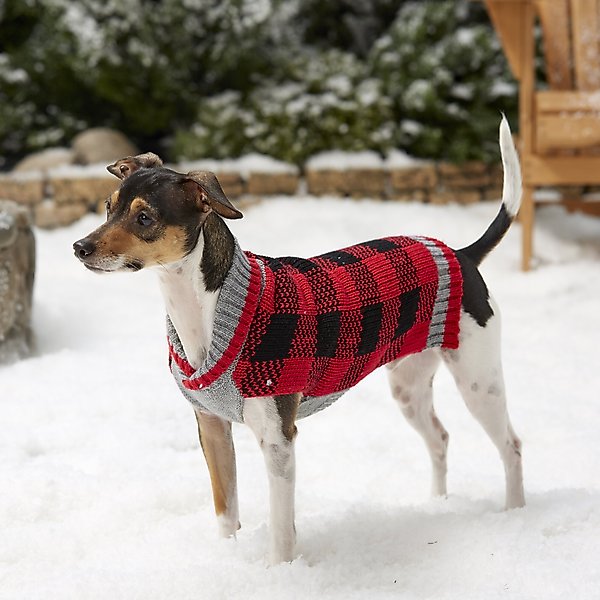 Show full view: Frisco Buffalo Plaid Dog & Cat Sweater, Red, Small slide 6 of 10