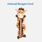 Show in main carousel: Frisco Bungee Plush Squeaking Giraffe + Sloth Dog Toy slide 4 of 10