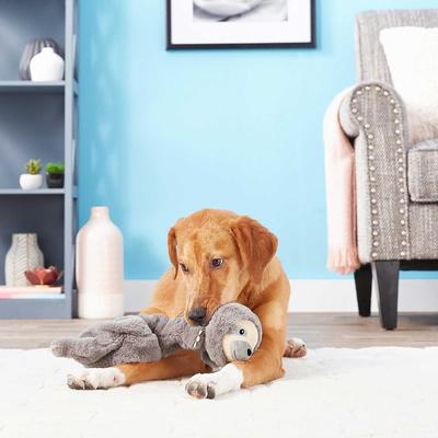 Show full view: Frisco Bungee Plush Squeaking Giraffe + Sloth Dog Toy slide 9 of 10