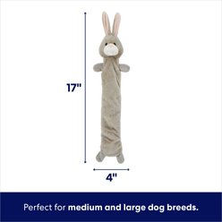 Frisco Bunny Bungee Plush Squeaky Dog Toy, Medium/Large slide 2 of 6