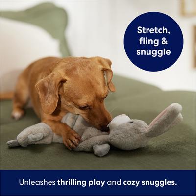 Show full view: Frisco Bunny Bungee Plush Squeaky Dog Toy, Small/Medium slide 5 of 7