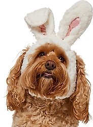 Frisco Bunny Ears Dog & Cat Costume Accessory, Medium/Large