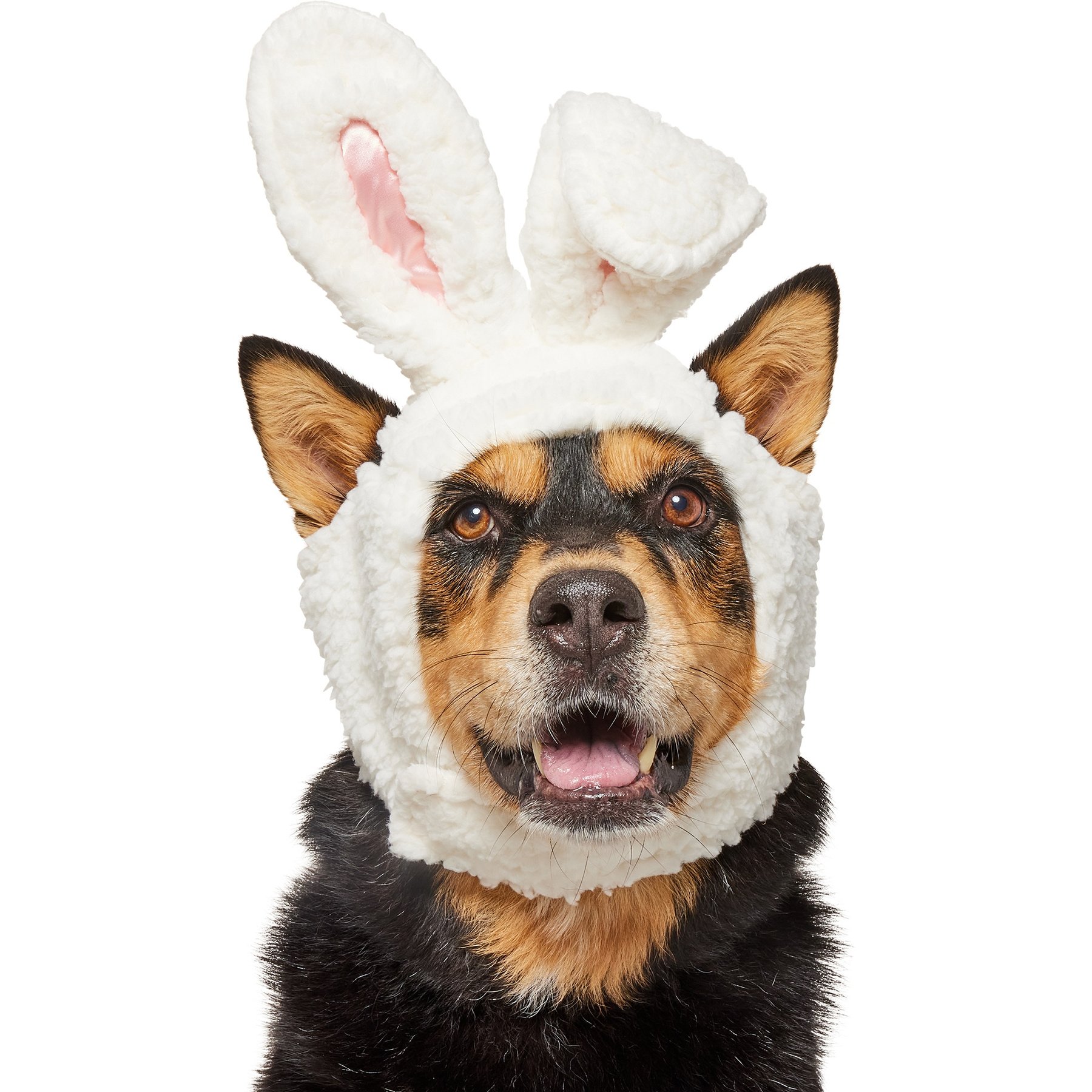 Frisco Bunny Ears Dog & Cat Costume Accessory, X-Large/XX-Large