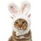 Show in main carousel: Frisco Bunny Ears Dog & Cat Costume Accessory, X-Small/Small slide 1 of 9
