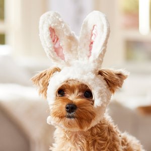 Frisco Bunny Ears Dog & Cat Costume Accessory, X-Small/Small