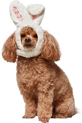 Show full view: Frisco Bunny Ears Dog & Cat Costume Accessory, X-Small/Small slide 2 of 9