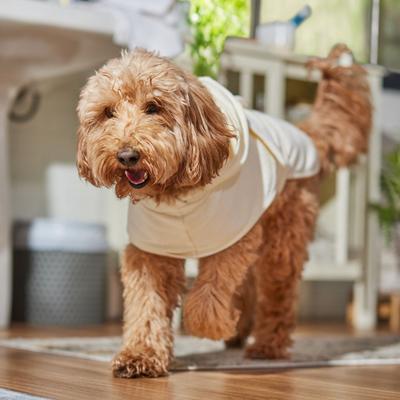 Show full view: Frisco Bunny Hooded Dog & Cat Bath Robe, Large slide 7 of 10