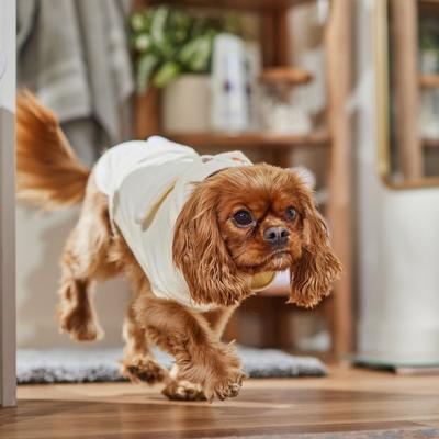 Show full view: Frisco Bunny Hooded Dog & Cat Bath Robe, Small slide 7 of 10