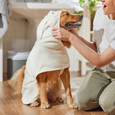 Show full view: Frisco Bunny Hooded Dog & Cat Bath Robe, X-Large slide 6 of 9
