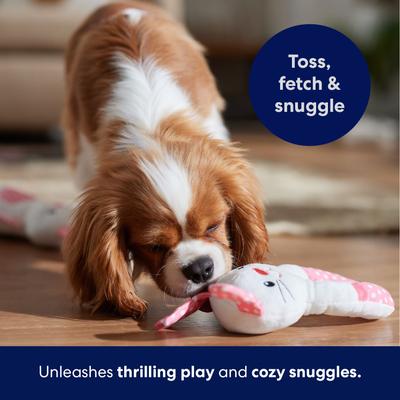 Show full view: Frisco Bunny Plush Squeaky Puppy Toy, Small, 2 count slide 5 of 7