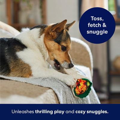 Show full view: Frisco Burrito Plush Squeaky Dog Toy, Small/Medium slide 5 of 7