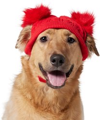 Frisco Cable Knit Dog & Cat Hat with Pom Poms, X-Large/XX-Large