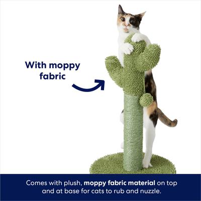 Show full view: Frisco Cactus Cat Scratching Post, 22-in slide 5 of 8