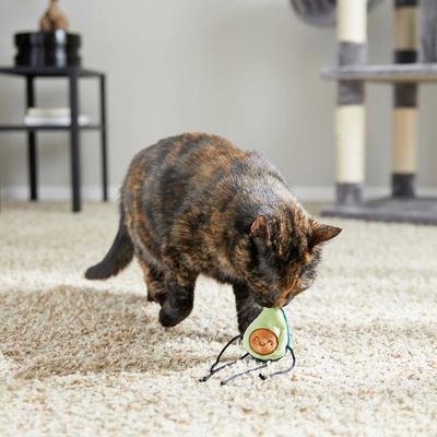 Show full view: Frisco Cactus Scratching Post, 22-in + Plush Dangly Avocado Buddy Cat Toy with Catnip slide 7 of 8