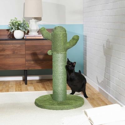 Show full view: Frisco Cactus Scratching Post, 31-in + Plush Taco Cat Toy with Catnip slide 4 of 7