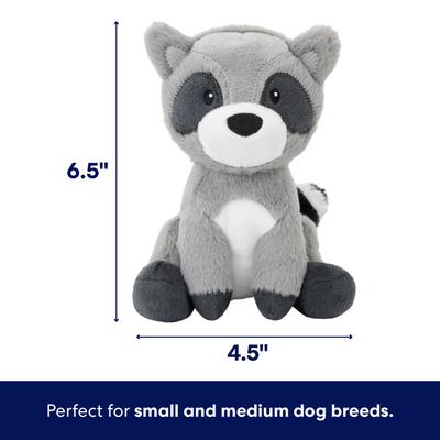 Show full view: Frisco Camping Raccoon Plush Squeaky Dog Toy, Small/Medium slide 2 of 7