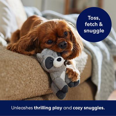 Show full view: Frisco Camping Raccoon Plush Squeaky Dog Toy, Small/Medium slide 5 of 7