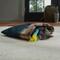 Show in main carousel: Frisco Camping Sleeping Bag Cat Toy slide 5 of 6